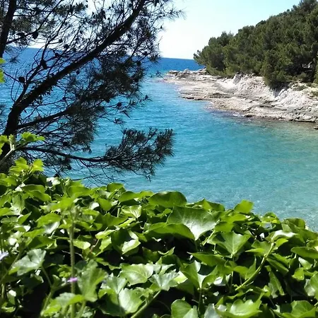 Apartman Bela *